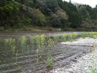 IMG_3658.jpeg