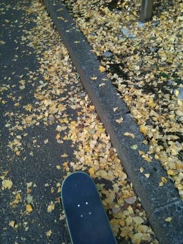 IMG_8920.jpeg