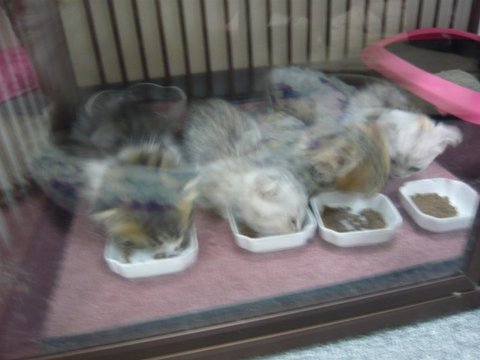 photo-14.jpeg