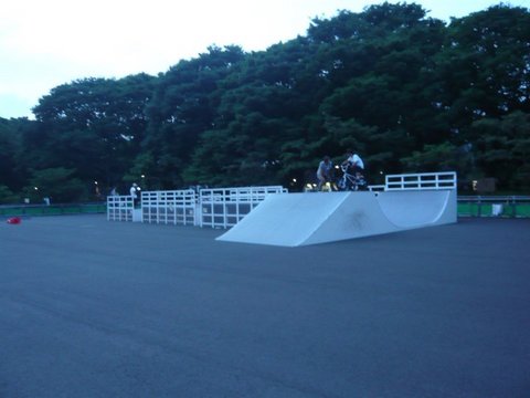 photo.jpeg